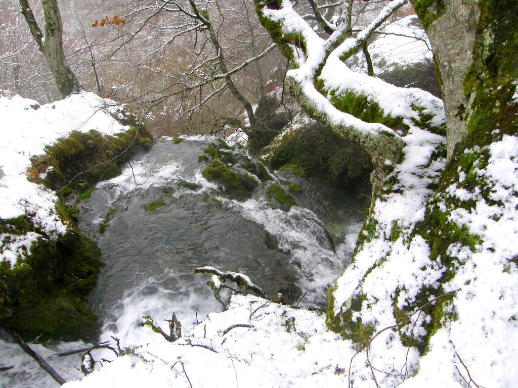 Penzion Legaire Etxea Ibarguren Exteriér fotografie